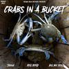 Tarna - Crabs in a Bucket