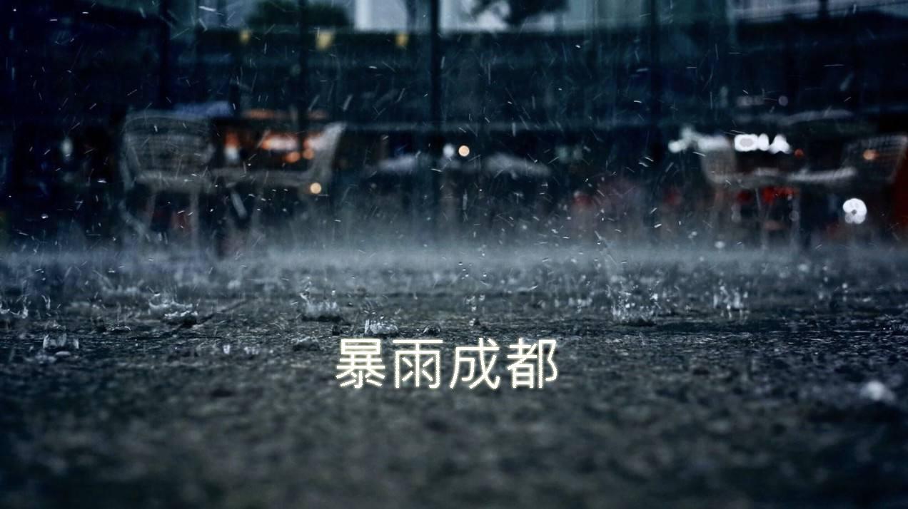 暴雨成都专辑