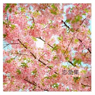 纯情小主播的BGM