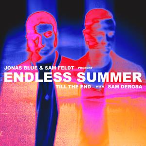 Jonas Blue & Sam Feldt with Sam Derosa - Till The End (Extended) (Instrumental) 原版无和声伴奏