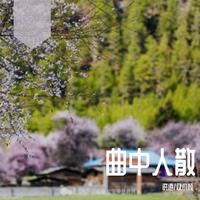 冰小花-----朋友的酒 女伴奏