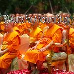 50 Auras For A Natural Study专辑