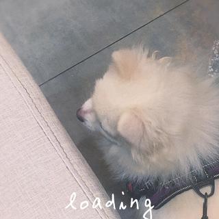 八下音乐text