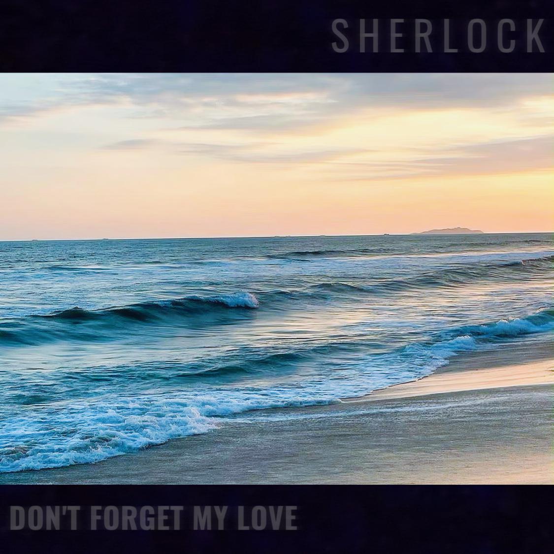 Don't Forget My Love