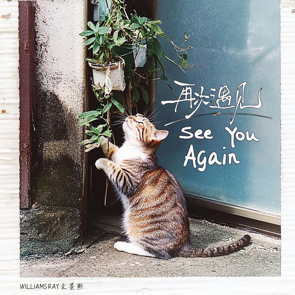 再次遇见 See You Again