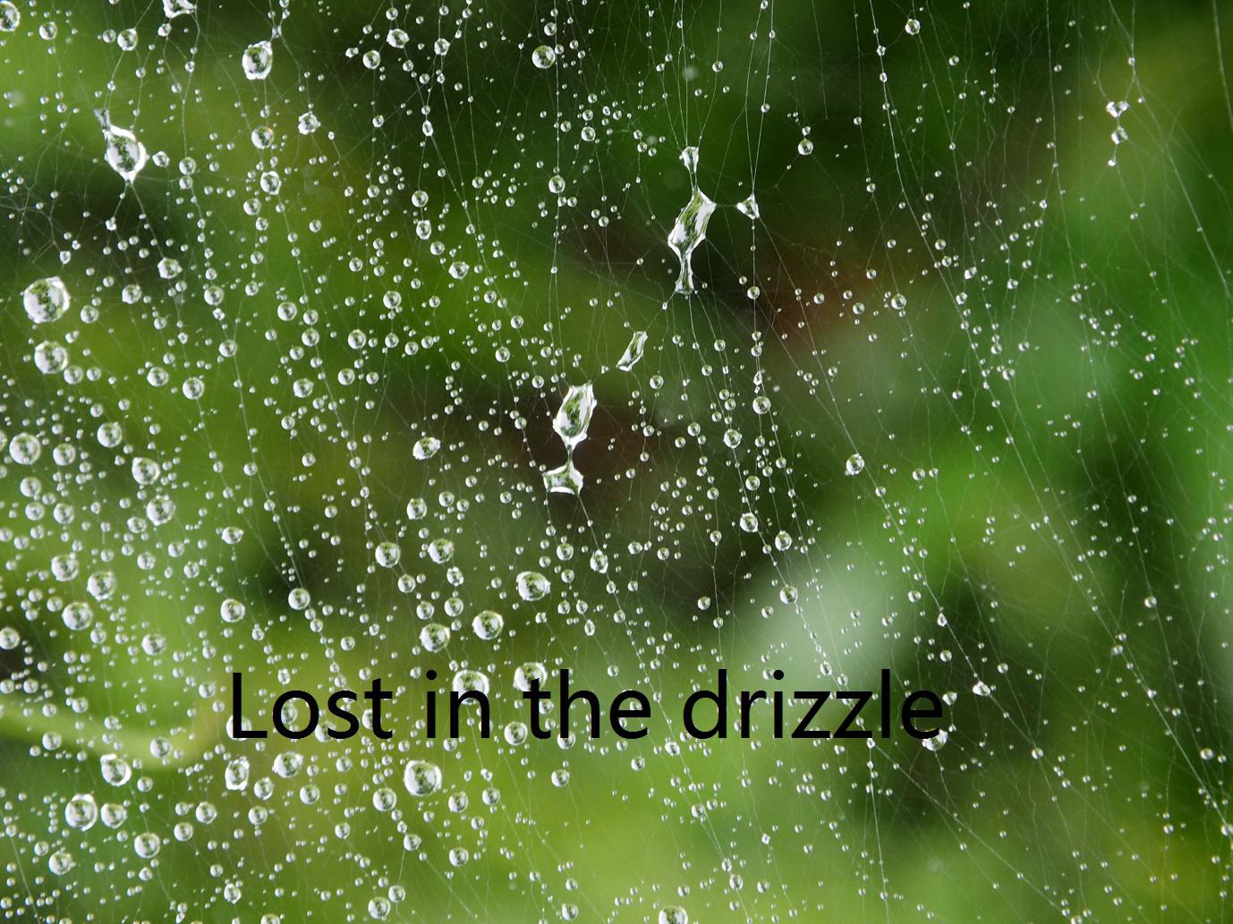 Lost in the drizzle专辑