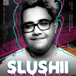 拾叁先生力荐 Slushii 十五首金曲