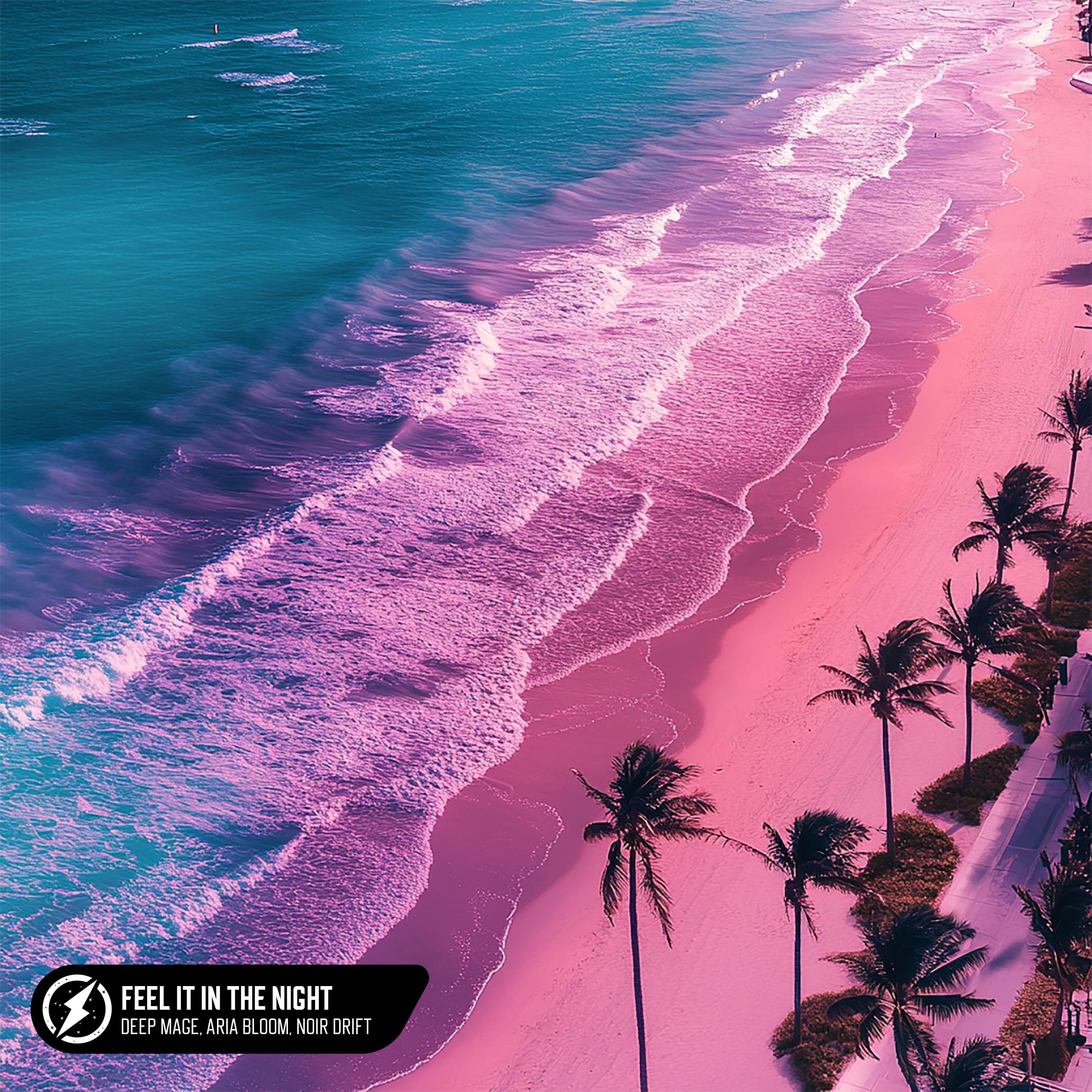 Feel It In the Night