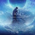 Crazy (feat. Casey Cook)专辑