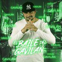 El Baile Del Gavilan - Spanish (karaoke)