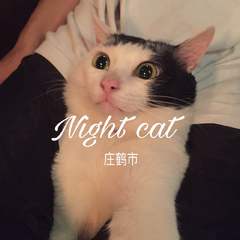 Night cat（prod by 尚先生）