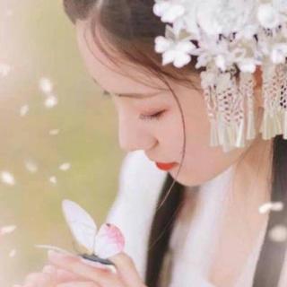 古风 | 宁以情深共此生