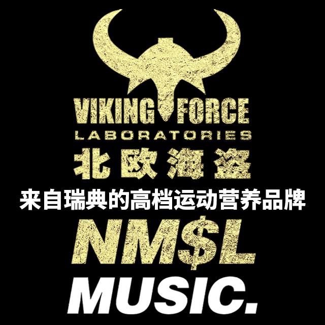 北欧海盗 VIKING FORCE专辑