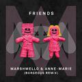 FRIENDS (Borgeous Remix)