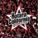 HOTARU CALIFORNIA专辑