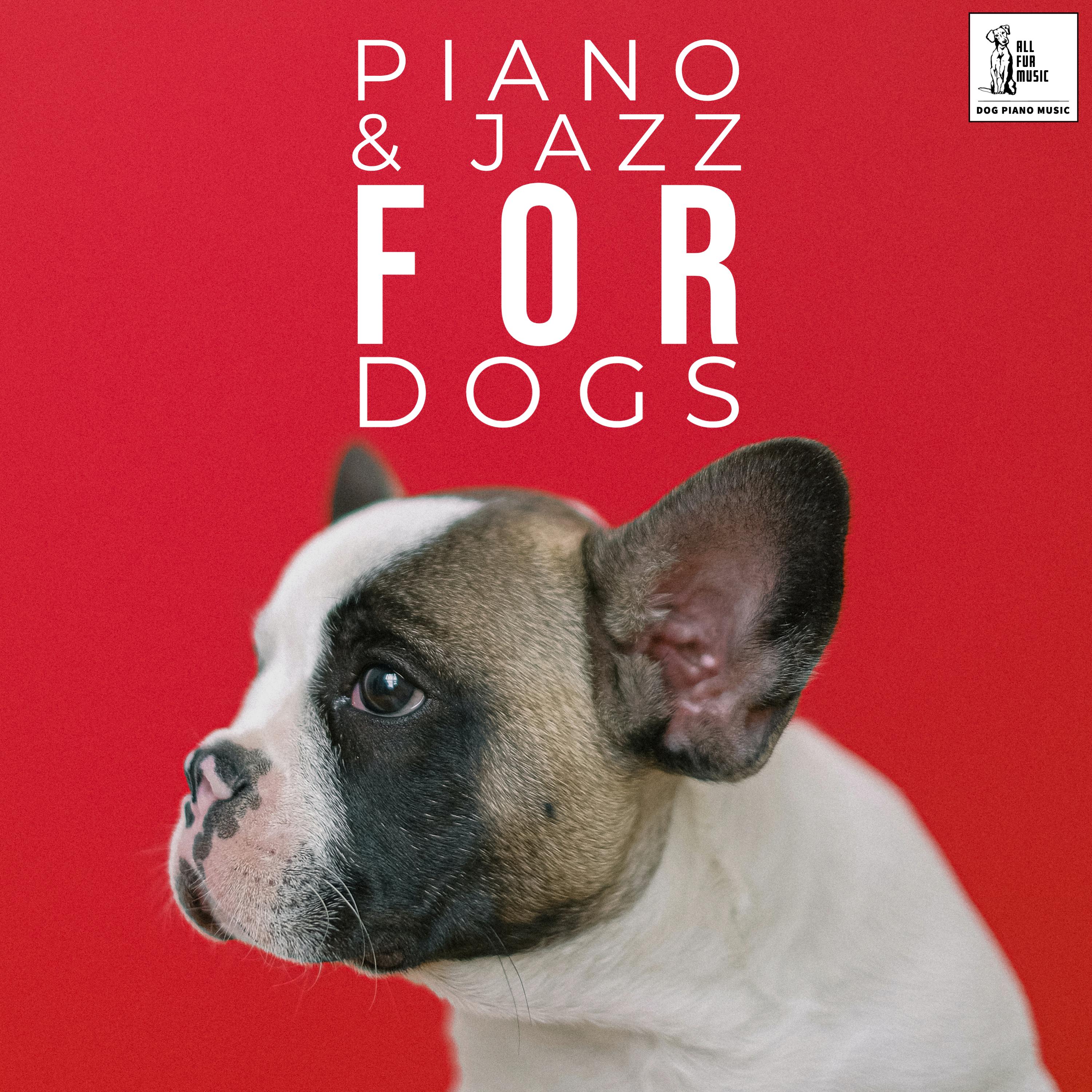 Piano & Jazz For Dogs