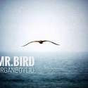 Mr.BIRD