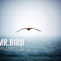 Mr.BIRD