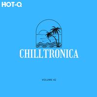Chilltronica 042