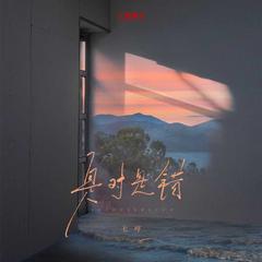 是对是错 (R&B版)