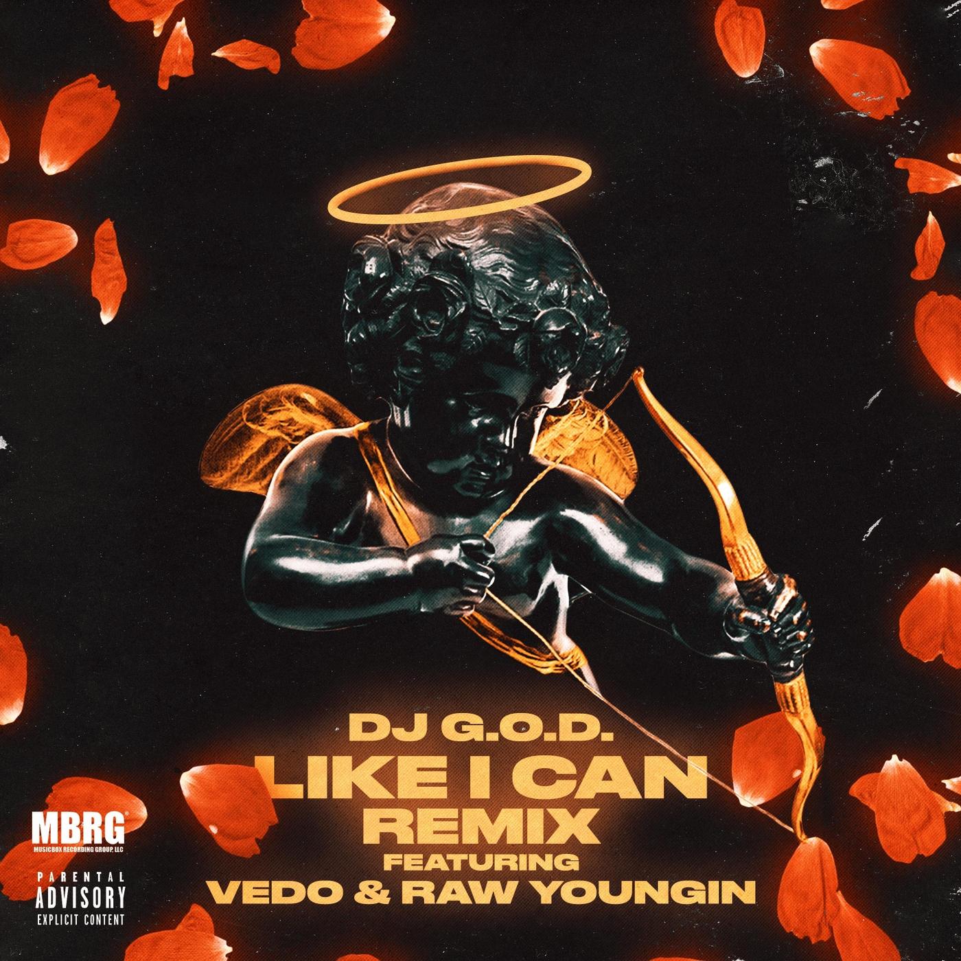Like I Can (Remix) [feat. Vedo & Rawyoungin]