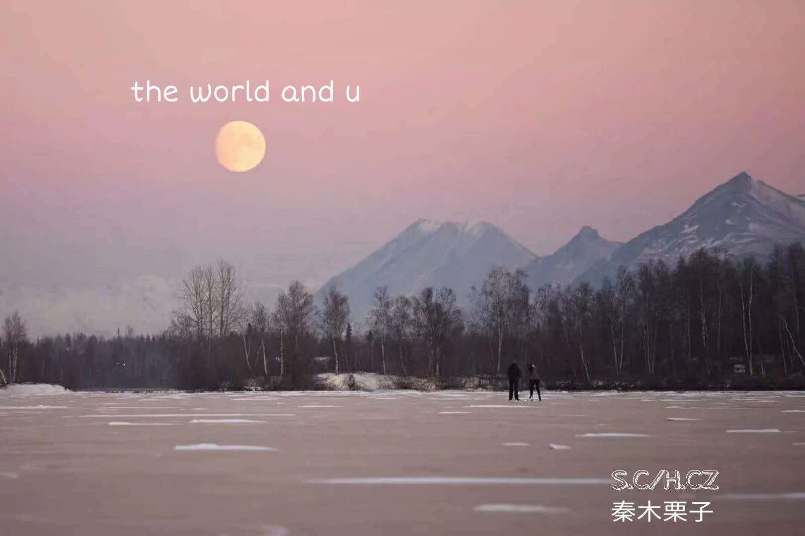 the world and you专辑