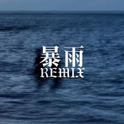 暴雨remix