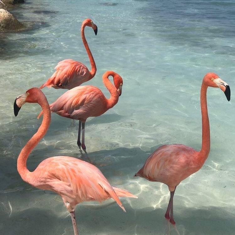 Maroon 5-Maroon 5 - Don't Wanna Know (TPaul Radio Remix)(音源 remix)