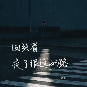 宋飞 - 回头看走了很远的路