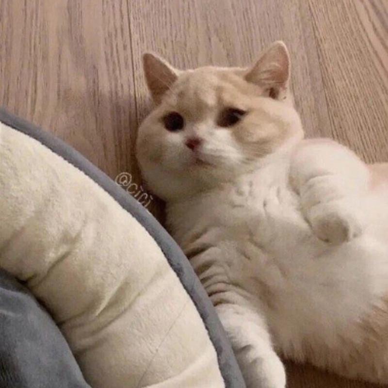 把回忆拼好给你 (Live)