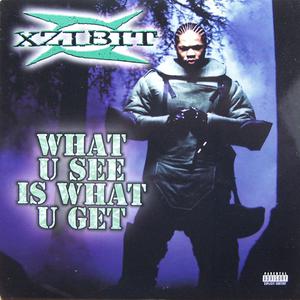 Xzibit - What U See Is What U Get (Instrumental) 无和声伴奏 （升8半音）