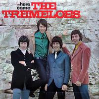 Even The Bad Times Are Good - The Tremeloes