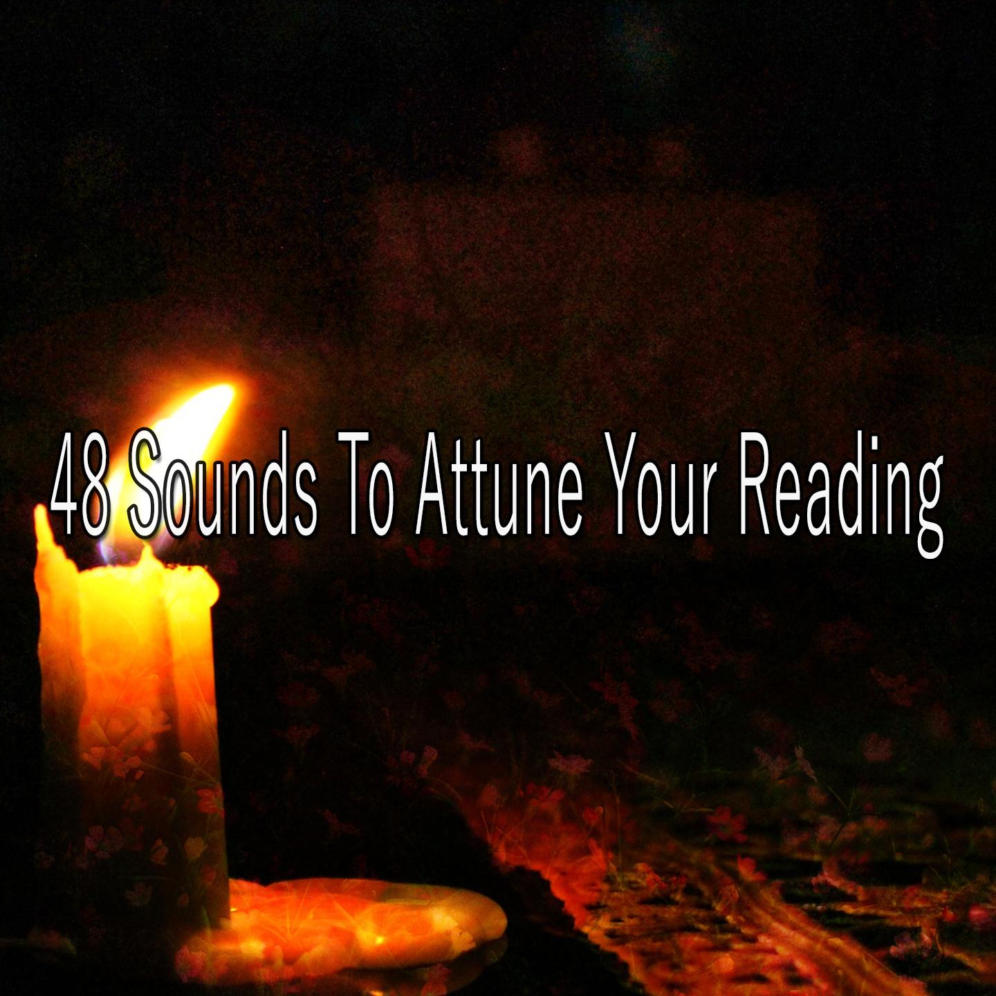 48 Sounds To Attune Your Reading专辑