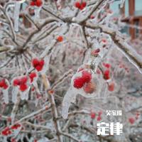 ice