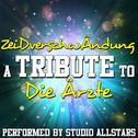 ZeiDverschwÄndung (A Tribute to Die Ärzte) - Single专辑