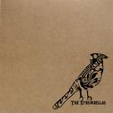 The Strumbellas - EP专辑