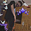 2020 Freestyle