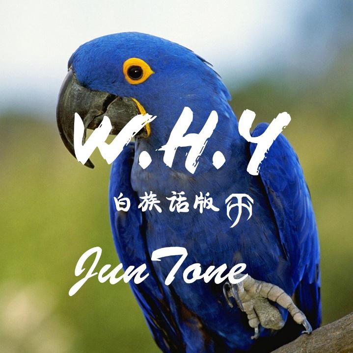 W.H.Y（白族话版）专辑