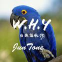 W.H.Y（白族话版）专辑