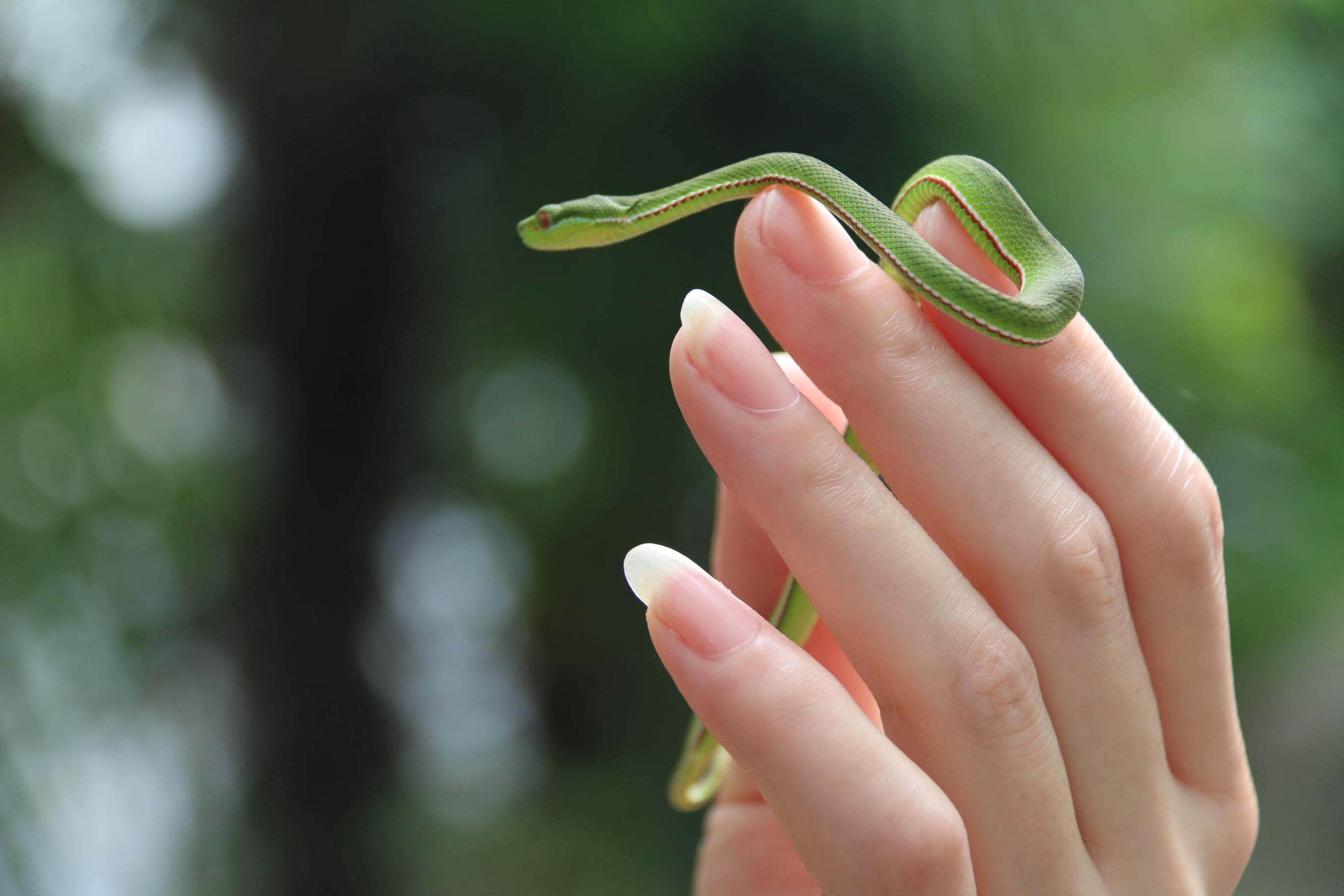 醉清风（原唱：玄子）