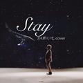 STAY