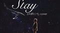 STAY专辑