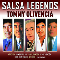 Tommy Olivencia - Periquito Pin Pin (karaoke)