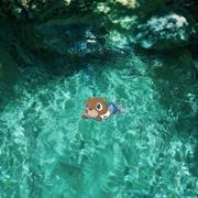 大自然的声音｜催眠曲 快速入睡歌单