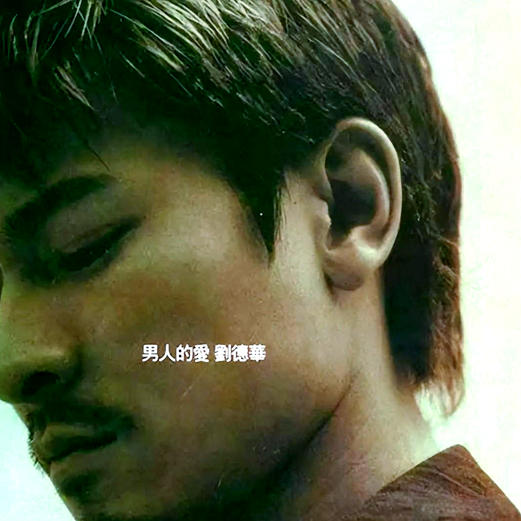 刘德华 男人的爱（2000）《男人哭吧不是罪》唱出男人的脆弱心声