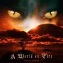 A World on Fire专辑