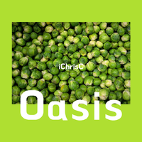 Oasis-Songbird