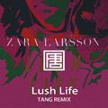 Zara Larsson - Lush Life (TANG 唐 Remix)