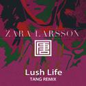 Zara Larsson - Lush Life (TANG 唐 Remix)专辑
