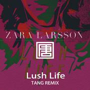 Zara Larsson - Lush Life (TANG 唐 Remix)